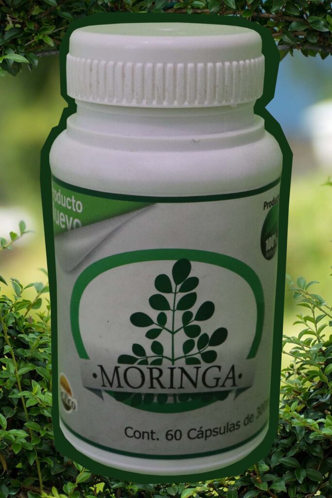 MORINGA BOROJO DEL PACIFICO